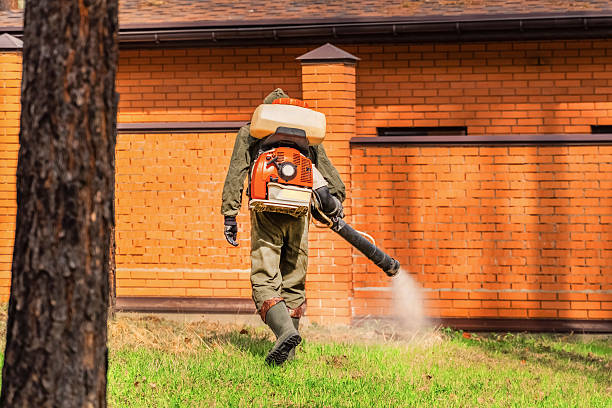 Trusted Emergency Pest Control service in Hastings, MN - Nex Pest Control